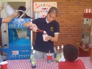 Spring Fair